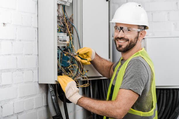 Best Ceiling Fan Installation Electrician  in Lodi, WI